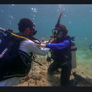 Experiencias y cursos de buceo - Img 57290052