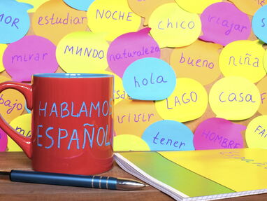 SPANISH LESSONS. CLASES PROFESIONALES DE ESPAÑOL!!! - Img main-image