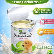 Sustituto de leche para perros cachorros - Img 50443979