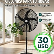 Ventilador eléctrico de pedestal - Img 56920273