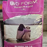 Pienso para perros - Img 50644323