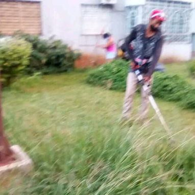 jardinería servicios, diseños y mantenimientos - Img 121773518