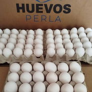Vamos huevos en el mejor precio!!! - Img 55789877