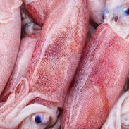Calamares frescos. - Img 57081936