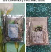 Discos duros internos 50!!! - Img 49647139