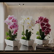 BELLAS FLORES - Img 55170390