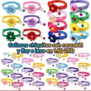 Collares chiquitos con cascabel y flor o lazo para perros y gatos. Cómodos, ligeros y con un diseño hermoso. - Img 55892981