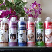 Shampoo para perros - Img 45424883