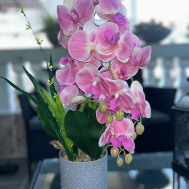 Árboles decorativo - Img 123203338