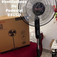 Ventilador de pie y mesa - Img 57541973