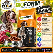 Pienso importado Para Perros Adulto 32% Proteína. Bolsa 20 kg - Img 57665340