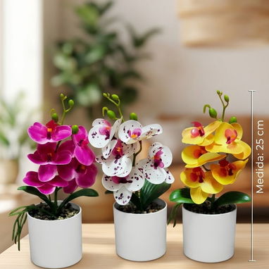 Orquídeas con sus maceteros para decorar el hogar (gu) - 2/3