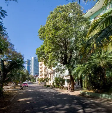 ⭐⭐⭐⭐⭐__RENTO__ OFERT@___Apto. Independiente, Vedado,planta baja,céntrico en 25yO, 78791900 - Img 63460988