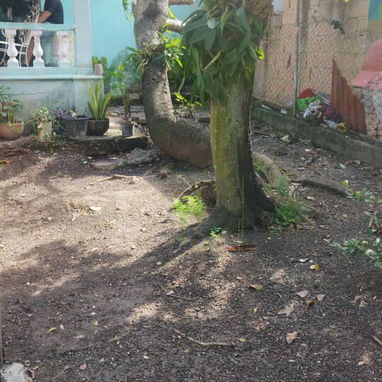 VENTA O PERMUTA - CASA #1 - Img 123825856