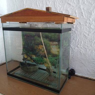 Vendo pecera con oxigenador, filtro, adornos y techo - Img 127862282