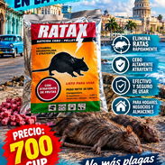 Veneno para Ratones y Ratas - Img 57683483