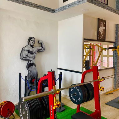 GYM. GIMNASIO COMPLETO EN VENTA - Img 124656635