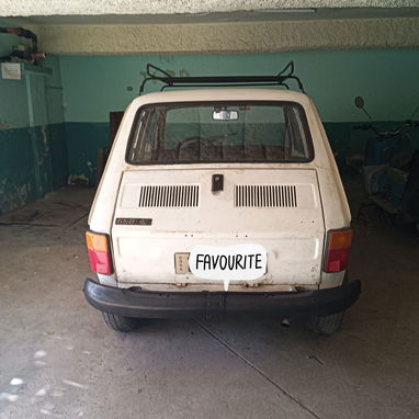 Polski-Polako-Polakito en venta - 4/4