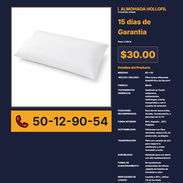 ALMOHADA HOLLOFIL VPT# -0237 - Img 56244260
