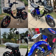 🛵*BICIMOTO HALCON NOVA GEN 17* - Img 55900167