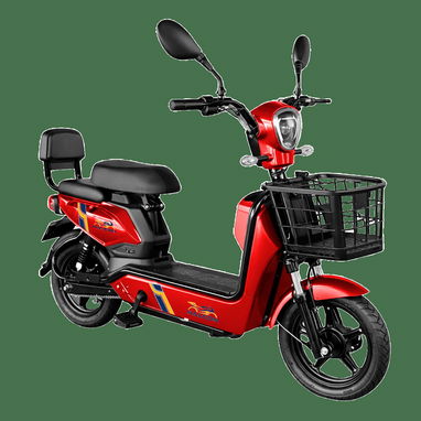 BICICLETA A GEL 48V 12AH HALCON - 5/8