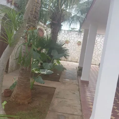 Se vende casa independiente con piscina, garaje con permiso de renta con superficie de500m² - Img 118277442
