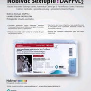 Vacunas Novibac Hexavalentes,8 USD, cadena de frío garantizada,soy de Santos Suárez,no hago mensajería - Img 56364529