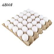 Huevos - Img 57154108