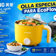 Olla Especial para Ecoflow - Img 58193985