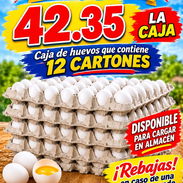Cajas de huevos disponible en almacén - Img 58444500