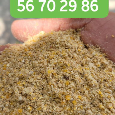 Vendo piensos para puercos y gallinas ponedoras - Img 124638456