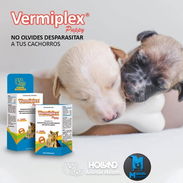 VermiPlex en suspensión oral para perros y gatos cachorros - Img 55885843