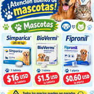 Para mascotas - Img 58279605