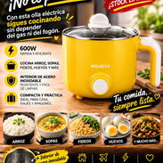 Olla multifuncional 35usd para ecoflow - Img 57416412