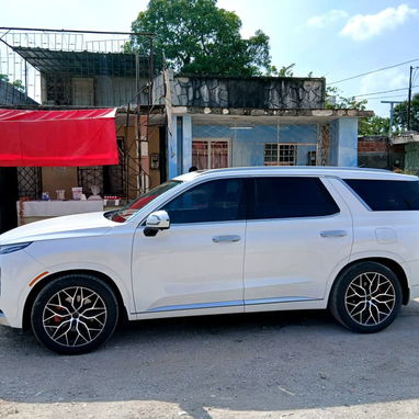 Hyundai palisade - 3/3