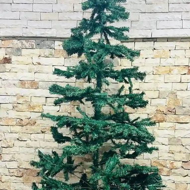 Se acerca Navidad , no te quedes sin tu arbolito 🌲 - 6/6