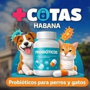 Probióticos para perros y gatos - Img 57120612