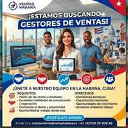 Se busca gestor de venta - Img 55925266