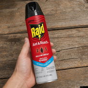 Raid cucarachas - Img 57475863