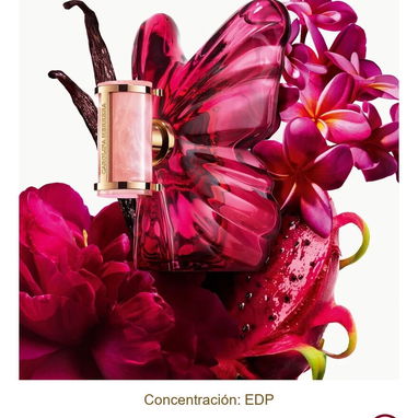 Perfumes de diseñador y nicho de mujer - 3/10