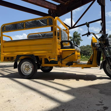 Triciclo eléctrico OIM - 2/6
