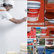 Venta pintura - Img 55600137