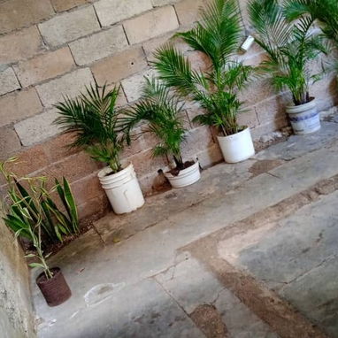 Casa de alto y bajo con patio - 8/10