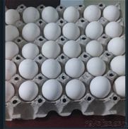 Huevos - Img 45944013