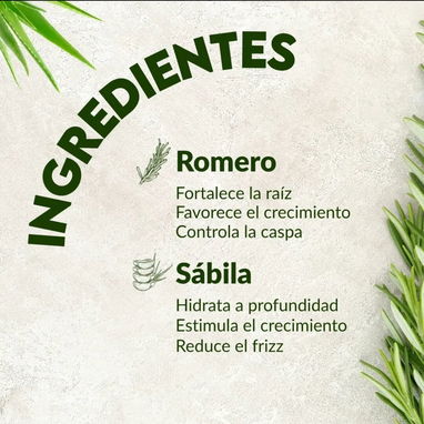 Gel de Romero - 5/5