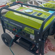 Vendo una planta - Img 57176640