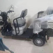 TRICICLOS PEQUEÑOS MARCA RALI 0km *(IDEALES PARA PERSONAS MAYORES)*  ☑️Bateria de Litio marca TOPMAQ 2025  ☑️Motor de 10 - Img 50587938