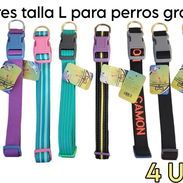 Collares talla L para perros grandes - Img 58094979