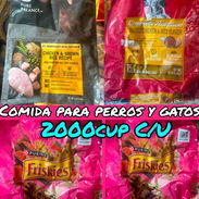 Comida para perros y gatos - Img 56648438