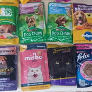 Comida humedad para perros y gatos - Img 58013989